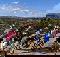 McLaren Vale Wine Tour by Bike - Holiday Find