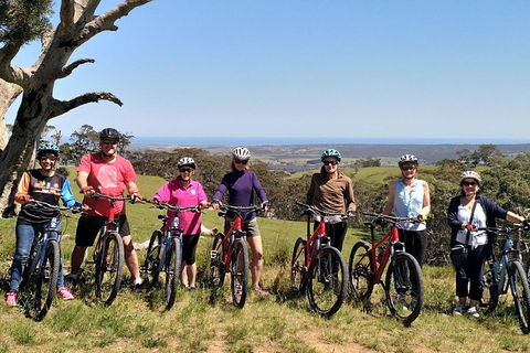 McLaren Vale Wine Tour By Bike - Holiday Find 2