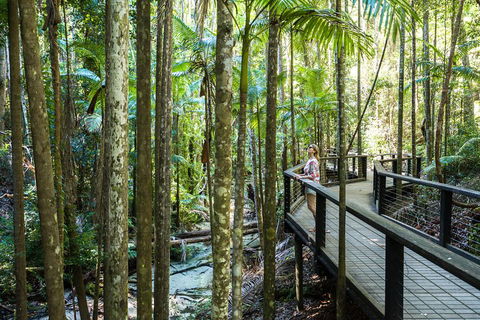 All-Inclusive Fraser Island Day Tour - Holiday Find 5