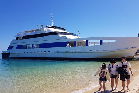 Moreton Island Day Trip (Kayak, Snorkel & Sandboard) Frm Brisbane Or Gold Coast - Holiday Find 0