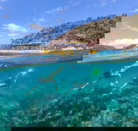 Great Barrier Reef Scenic Flight and Ocean Rafting Whitehaven Beach Day Trip - Holiday Find