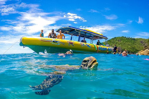 Great Barrier Reef Scenic Flight And Ocean Rafting Whitehaven Beach Day Trip - Holiday Find 1