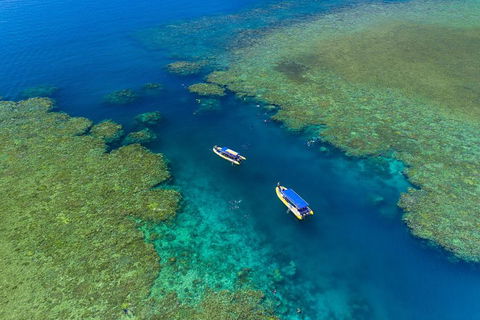 Great Barrier Reef Scenic Flight And Ocean Rafting Whitehaven Beach Day Trip - Holiday Find 4