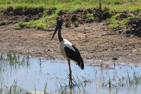 Darwin To Kakadu Day Trip By Air Including Yellow Water Cruise - Holiday Find 0