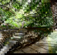 12 Apostles Eco-Friendly Great Ocean Road Iconic Adventure from Melbourne - Holiday Find