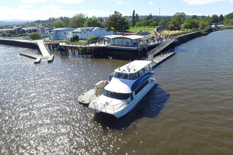 2.5 Hour Morning Discovery Cruise Including Sailing Into The Cataract Gorge - Holiday Find 3