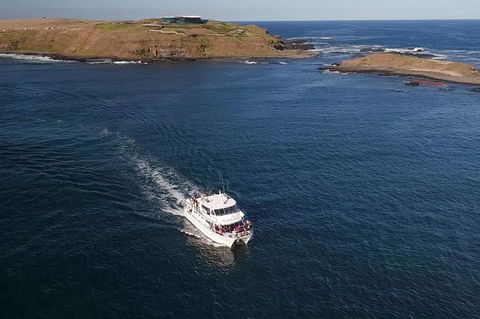 Phillip Island Seal-Watching Cruise - Holiday Find 1