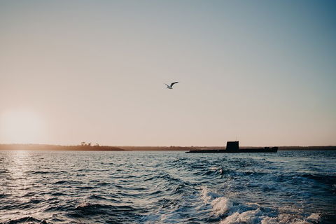 Phillip Island Twilight Cruise - Holiday Find 1
