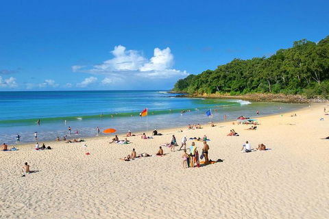 Noosa Everglades Serenity Cruise & Highlights Tour Inc. Lunch & Cruise - Holiday Find 4