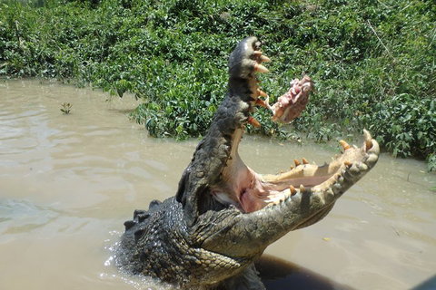 Litchfield And Jumping Crocodiles Full Day Trip From Darwin - Holiday Find 3