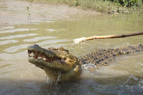 Litchfield And Jumping Crocodiles Full Day Trip From Darwin - Holiday Find 4