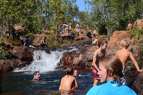 Litchfield And Jumping Crocodiles Full Day Trip From Darwin - Holiday Find 5