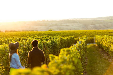 Margaret River Private Tour - Holiday Find 2