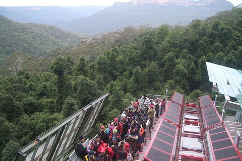 Blue Mountains Private Tour With Wildlife Park And River Cruise - Holiday Find 1