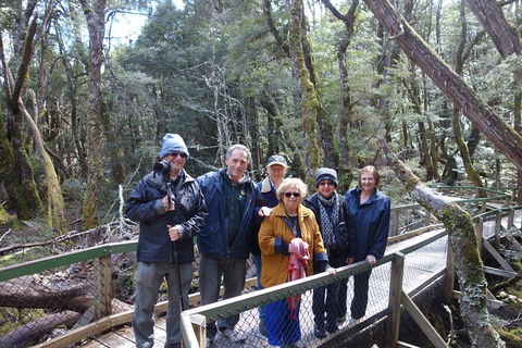 Blue Mountains Private Tour With Wildlife Park And River Cruise - Holiday Find 2