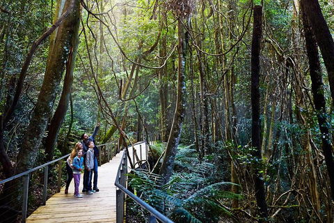 Blue Mountains Private Tour With Wildlife Park And River Cruise - Holiday Find 4