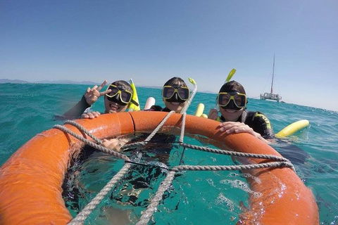 Full-Day Great Barrier Reef Sailing Trip - Holiday Find 0