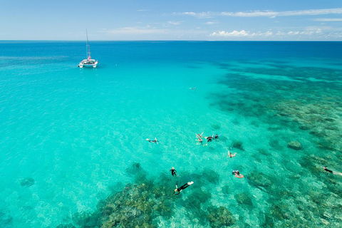 Full-Day Great Barrier Reef Sailing Trip - Holiday Find 2