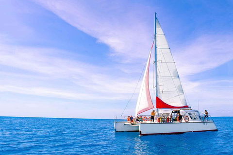 Full-Day Great Barrier Reef Sailing Trip - Holiday Find 4