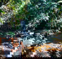 Aquaduck  Your choice of Gold Coast Rainforest Tour - Holiday Find