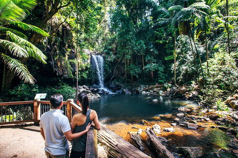 Aquaduck & Your Choice Of Gold Coast Rainforest Tour - Holiday Find 0