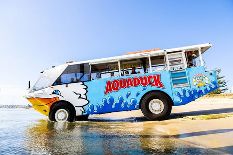 Aquaduck & Your Choice Of Gold Coast Rainforest Tour - Holiday Find 3