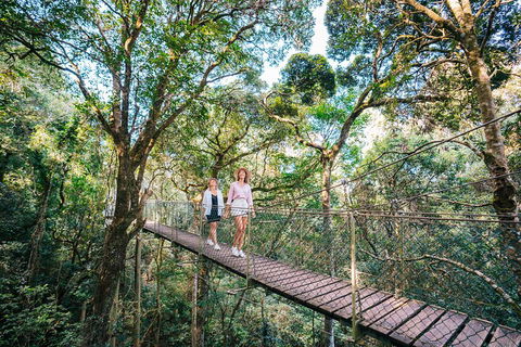 Aquaduck & Your Choice Of Gold Coast Rainforest Tour - Holiday Find 4