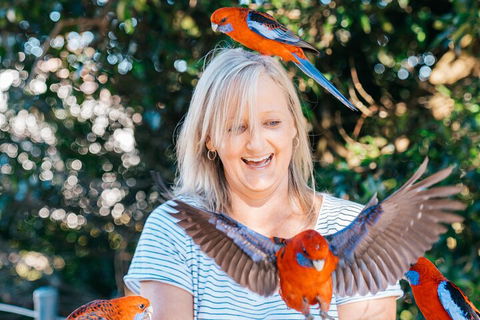 Aquaduck & Your Choice Of Gold Coast Rainforest Tour - Holiday Find 5