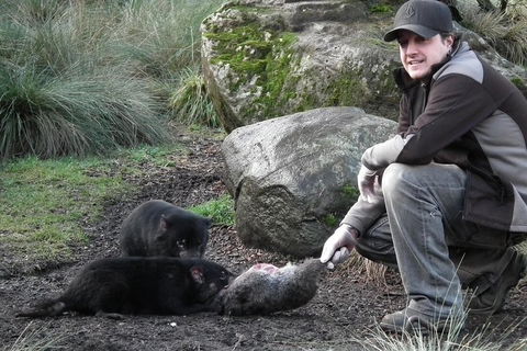 After Dark Tasmanian Devil Feeding Tour At Cradle Mountain - Holiday Find 2