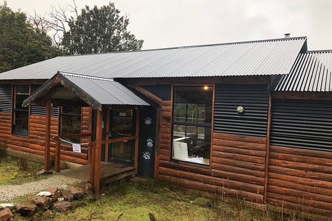 After Dark Tasmanian Devil Feeding Tour At Cradle Mountain - Holiday Find 3