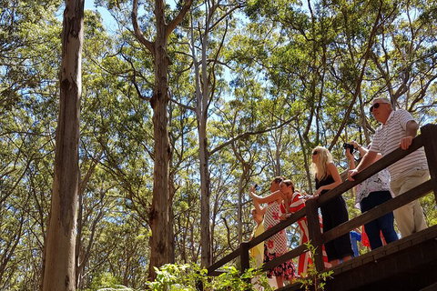 The All About Margaret River Tour: Wine, Coffee, Lunch And Forest - Holiday Find 3