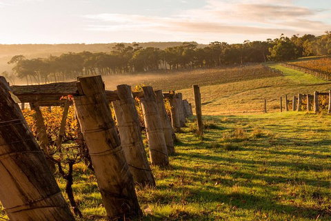 The All About Margaret River Tour: Wine, Coffee, Lunch And Forest - Holiday Find 5