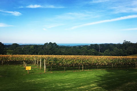 Yarra Valley Private Car Winery Tour And Chocolate.1-7 Passengers One Car Price - Holiday Find 0