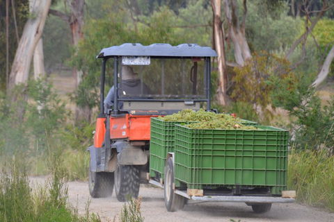 Yarra Valley Private Car Winery Tour And Chocolate.1-7 Passengers One Car Price - Holiday Find 1