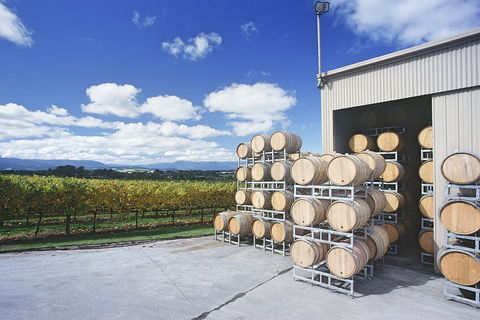 Yarra Valley Private Car Winery Tour And Chocolate.1-7 Passengers One Car Price - Holiday Find 2