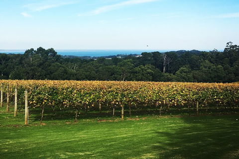 Yarra Valley Wine Tour Inc Lunch With A Glass Of Wine, Tastings And Chocolate - Holiday Find 2