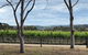 Yarra Valley Wine Tour Inc Lunch With A Glass Of Wine, Tastings And Chocolate - thumb 3