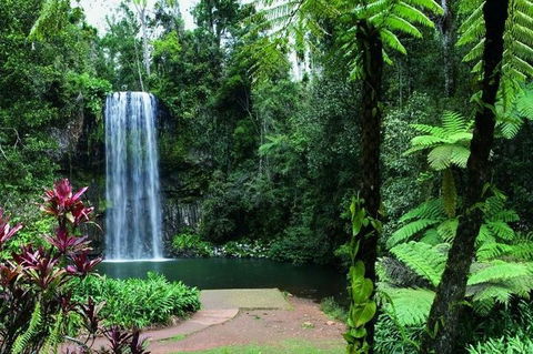 Paronella Park And Millaa Millaa Falls Full-day Tour From Cairns - Holiday Find 3