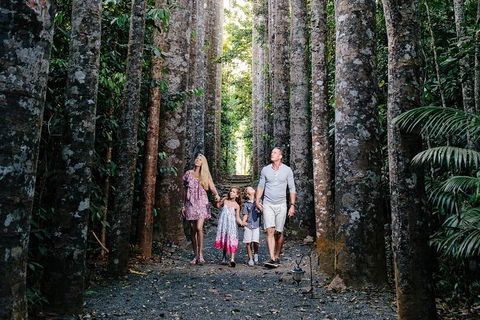 Paronella Park And Millaa Millaa Falls Full-day Tour From Cairns - Holiday Find 5