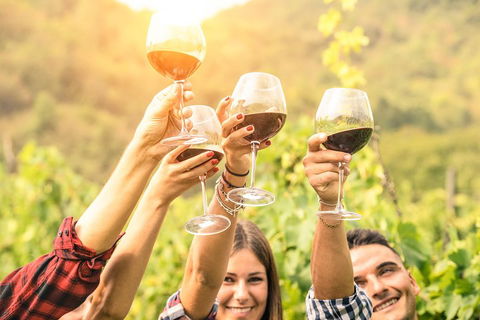 Barossa Valley Cellar Doors Luxury Wine Tour - Holiday Find 1