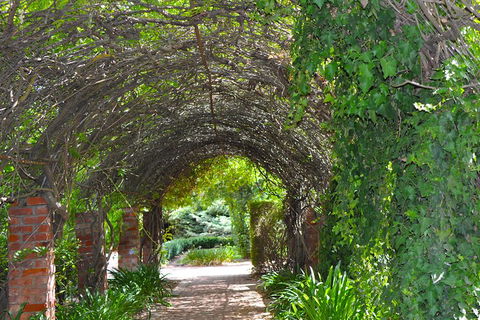 Barossa Valley Cellar Doors Luxury Wine Tour - Holiday Find 3