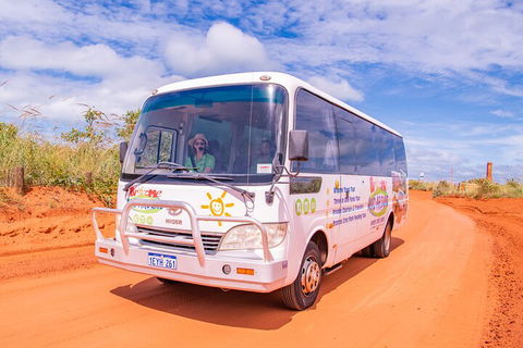 Malcolm Douglas Crocodile Park Tour Including Transportation - Holiday Find 3