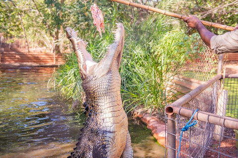 Malcolm Douglas Crocodile Park Tour Including Transportation - Holiday Find 5