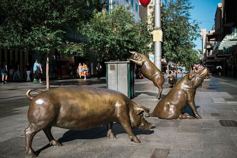Guided Walking Tour In Adelaide - Holiday Find 4