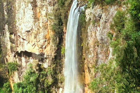 Natural Arch, Rainforest & Volcano Canyon - Private Half Day Tour - Holiday Find 2