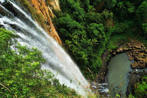 Natural Arch, Rainforest & Volcano Canyon - Private Half Day Tour - Holiday Find 5