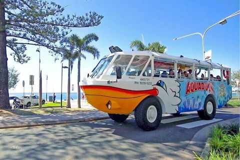 Aquaduck Sunshine Coast - Holiday Find 1