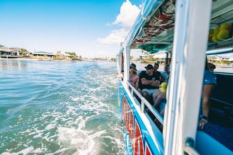 Aquaduck Sunshine Coast - Holiday Find 5