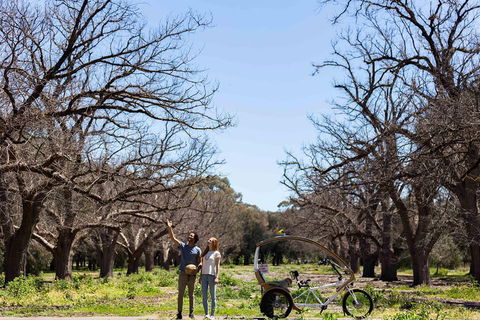 Adelaide 90-Minute Pedicab Tour: Scenic Green & River Experience - Holiday Find 1