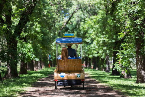 Adelaide 90-Minute Pedicab Tour: Scenic Green & River Experience - Holiday Find 2